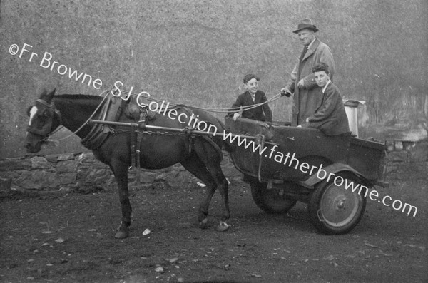 HORSE AND CART  MILK CHURN